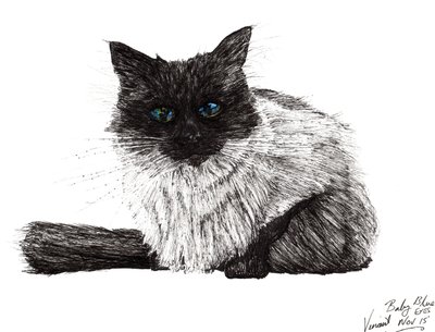 Olhos azuis de bebê, 2015, (tinta no papel) de Vincent Alexander Booth