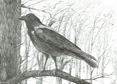 Bird, 2011 de Vincent Alexander Booth