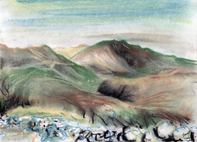 Hills in the Lake District, 2005, (pastéis em papel) de Vincent Alexander Booth