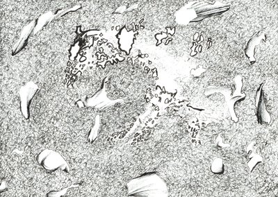 Aparição do Cavalo, 2017, (tinta no papel) de Vincent Alexander Booth