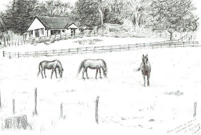 Cavalos no topo da pista, 2008 (tinta sobre papel) de Vincent Alexander Booth