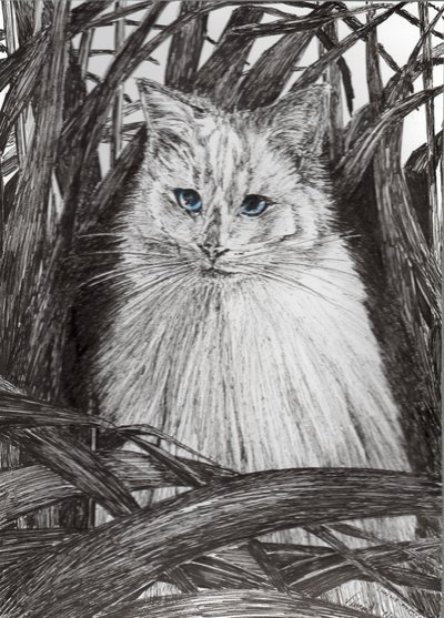 Selva Monty, 2015, (tinta no papel) de Vincent Alexander Booth