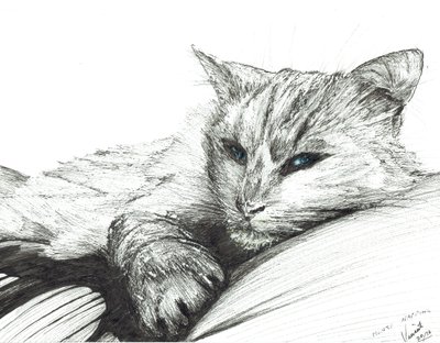 Monty, cochilando, 2016, (tinta no papel) de Vincent Alexander Booth