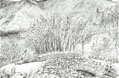 Ponte de pedra velha no distrito do lago, 2005 de Vincent Alexander Booth