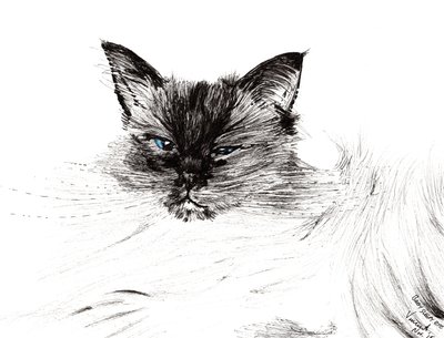 Olho sonolento, 2015, (tinta no papel) de Vincent Alexander Booth