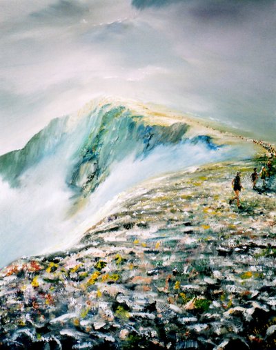 Corrida de Verão em Helvellyn, 2013 de Vincent Alexander Booth