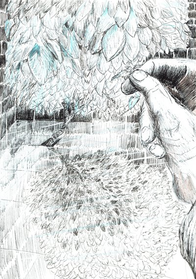 page43, O Castelo na Floresta de Findhorn, 2006, (tinta no papel) de Vincent Alexander Booth