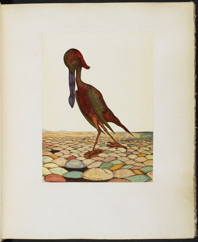O Ork Blue-Billed, de 