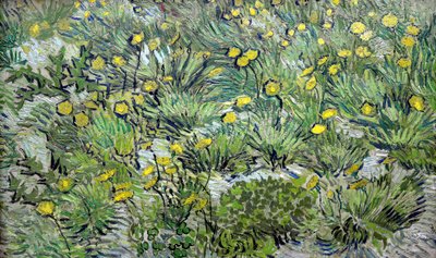 Os dentes-de-leão Dentes-de-leão, 1889. de Vincent van Gogh