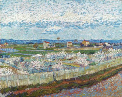 Pessegueiros em Flor, 1889. de Vincent van Gogh