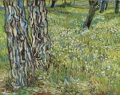 Troncos de árvores na grama, 1890. de Vincent van Gogh