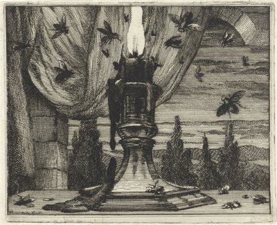 As moscas são atraídas pela luz de uma vela de Vincent Laurensz. van der Vinne (II)