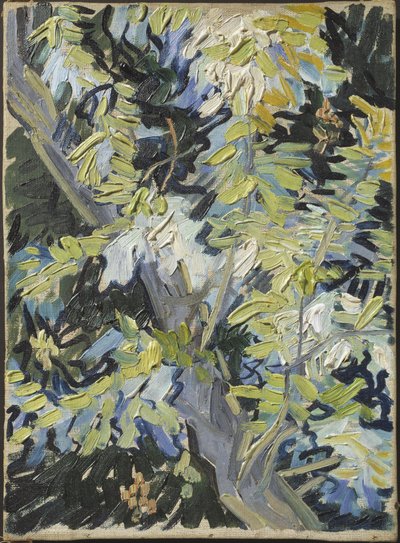 Acacia in flower - Acacia Flowering, de Gogh, Vincent, van (1853-1890). Óleo sobre tela. Tamanho: 33x24 cm. Nationalmuseum Estocolmo de Vincent van Gogh