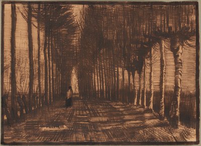 Avenida das Bétulas e Choupos de Pollard de Vincent van Gogh