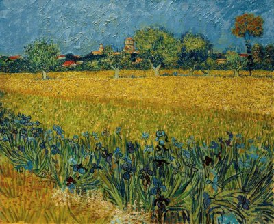 Vista de Arles com flores de íris em primeiro plano de Vincent van Gogh
