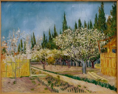 Pomar, rodeado por ciprestes de Vincent van Gogh