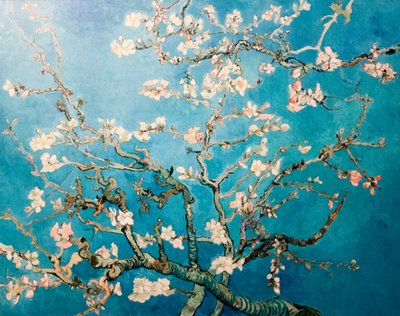 Holandês: Amandelbloesem Árvore de ramos de amendoeira em flor de Vincent van Gogh