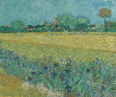 Campo com flores perto de Arles de Vincent van Gogh