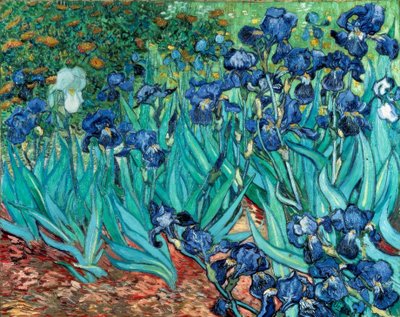 Íris (íris) de Vincent van Gogh