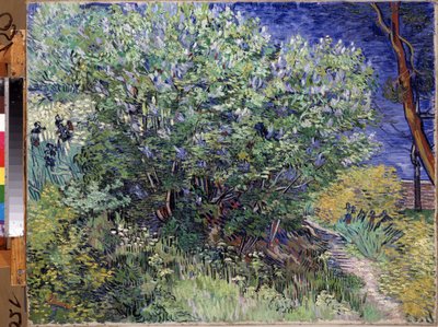 Pintura "Lilac Bush" de Vincent van Gogh (1853-1890) 1889 Dim. 72x92 cm Museu Hermitage, São Petersburgo (São Petersburgo) de Vincent van Gogh