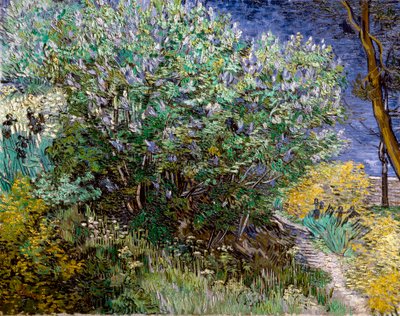 O arbusto lilás. Vincent VAN GOGH (1853-1890) de Vincent van Gogh