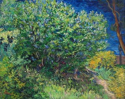 Lilases de Vincent van Gogh