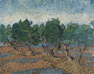 Olival de Vincent van Gogh