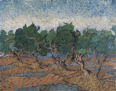 Olival. 1889 de Vincent van Gogh