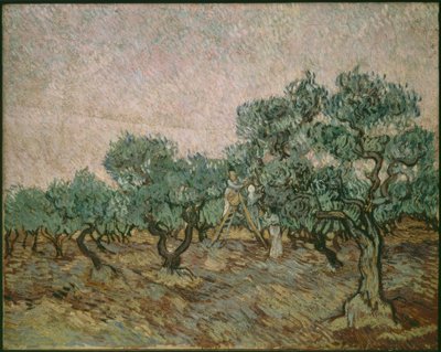 Apanhador de azeitonas de Vincent van Gogh
