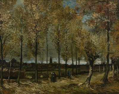 Choupos perto de Nuenen. 1885 de Vincent van Gogh