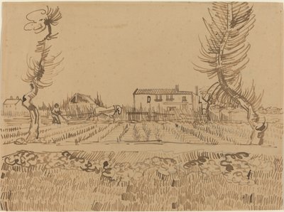 Lavrador nos campos perto de Arles de Vincent van Gogh