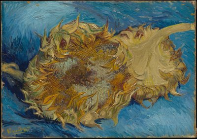  de Vincent van Gogh