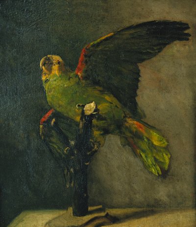 O papagaio verde; O papagaio verde, 1885 de Vincent van Gogh