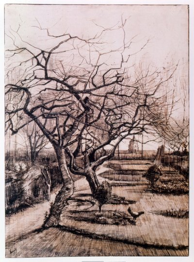 O Jardim dos Presbíteros em Nuenen no Inverno (1884) de Vincent van Gogh
