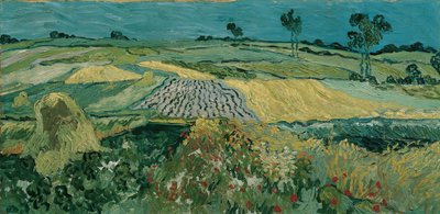 A Planície de Auvers, 1890 de Vincent van Gogh