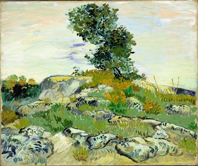 As rochas de Vincent van Gogh