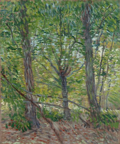  de Vincent van Gogh