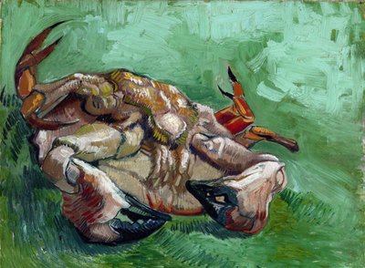 "Um caranguejo deitado de costas" Pintura de Vincent van Gogh (1853-1890) 1889 Dim 38x46,5 cm Museu Van Gogh, Amsterdã de Vincent van Gogh