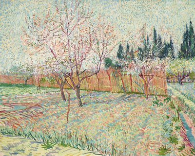 Pomar com cipreste de Vincent van Gogh