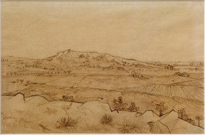 Vista de Crau de Vincent van Gogh