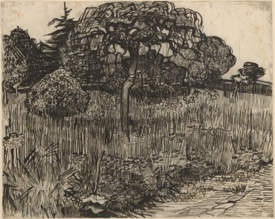 Árvore chorona de Vincent van Gogh