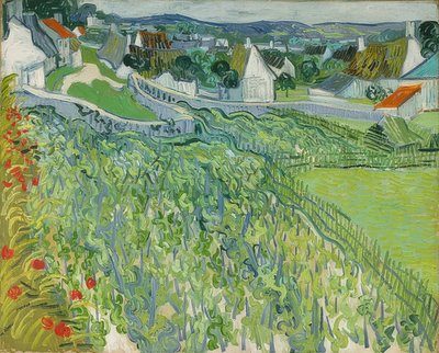 Vinhedos em Auvers. 1890 de Vincent van Gogh