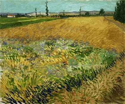 Campo de trigo de Vincent van Gogh