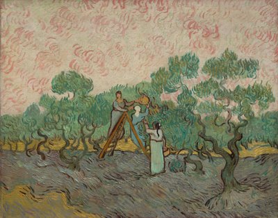 Mulheres colhendo azeitonas, 1889. de Vincent van Gogh