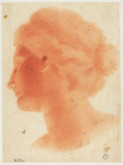 Cabeça da Vénus de Médicis de Vincenzo Dandini