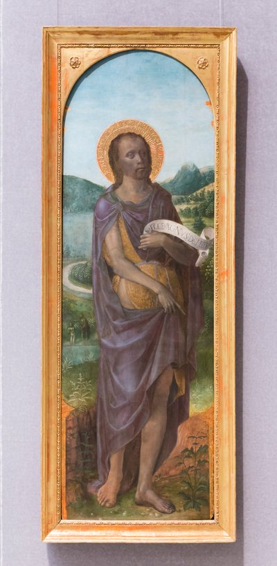 São João Batista de Vincenzo Foppa