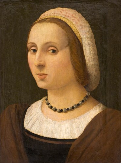 Retrato de uma senhora de Vincenzo Tamagni