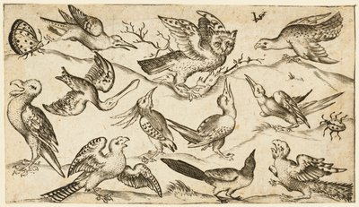 Onze pássaros e dois insetos em terreno mínimo com coruja de asas estendidas..., 1572. de Virgil Solis