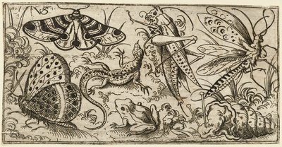 Grupo de insetos e animais em terreno plano com grama..., 1530 - 1562. de Virgil Solis