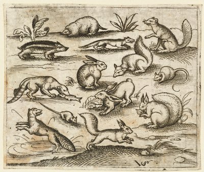 Grupo de pequenas criaturas da floresta comendo e correndo ao redor de um lago, incluindo um rato..., 1557. de Virgil Solis